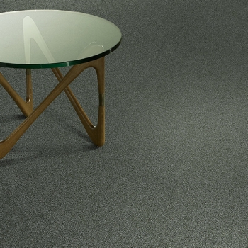 Mannington Color Canvas