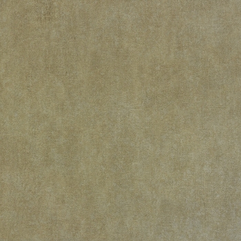 Mannington Natures Path Rainfall Dawn 18" x 36"