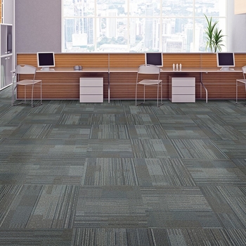 Mannington TSN Carpet Tile