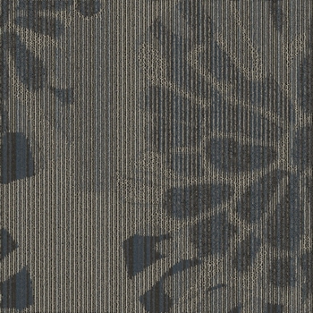 Masland Burst