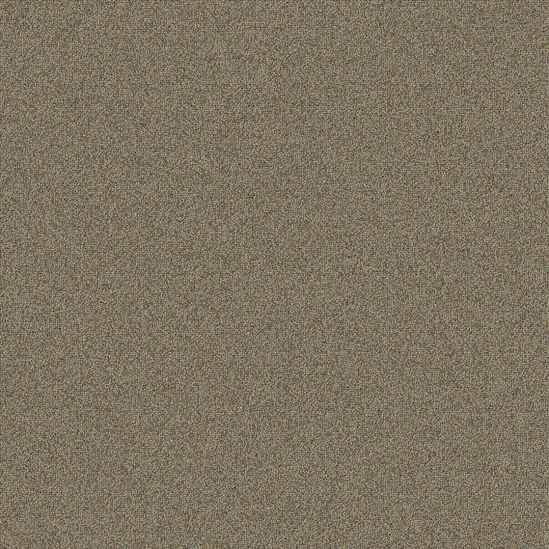 Masland Easy Going Carpet Tile