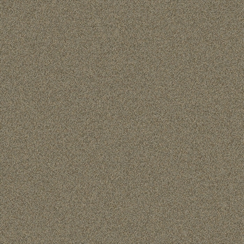Masland Easy Going Carpet Tile