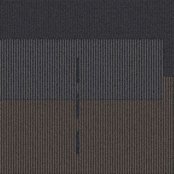 Masland Feedback Carpet Tile