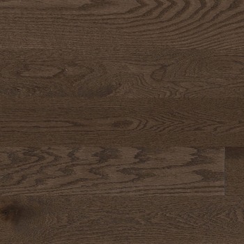 Mercier Design Plus Smoky Brown Red Oak Solid 3 1/4 Inch