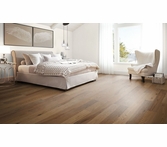 Mercier Design Plus Toast Brown Red Oak Solid 3 1/4 Inch