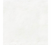 Milestone Earthen Matte Whisper 12" x 24"