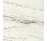 Milestone Jem Forte White 12" x 24"