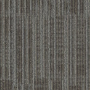 Mohawk Aladdin Get Moving Titanium