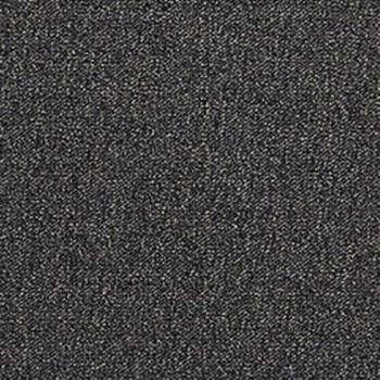 Mohawk Aladdin Scholarship II Bark