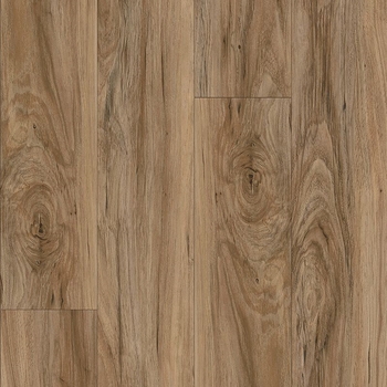 Mohawk Bowman II Seaside Sparrow Pine