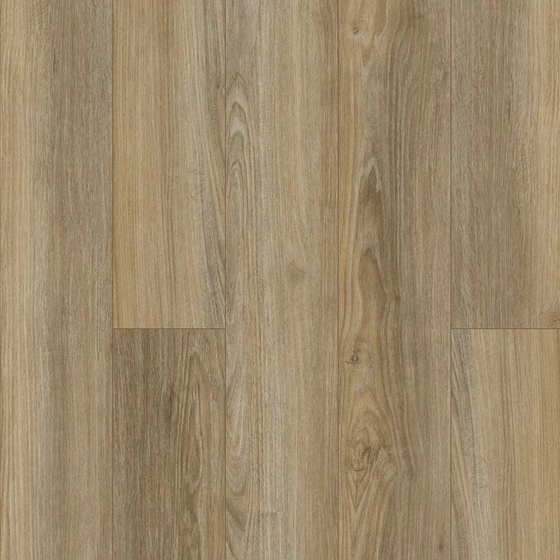 Mohawk Discovery Ridge Brushed Beige