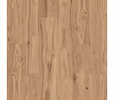 Mohawk Lacy Highlands Clove Hickory