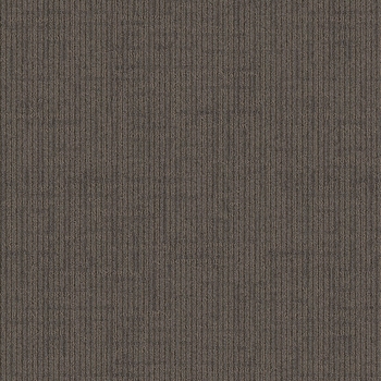 Mohawk Lateral Surface Shale