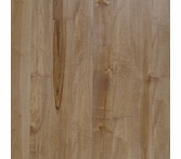 Mohawk Myerwood Park Castorland Brass Maple