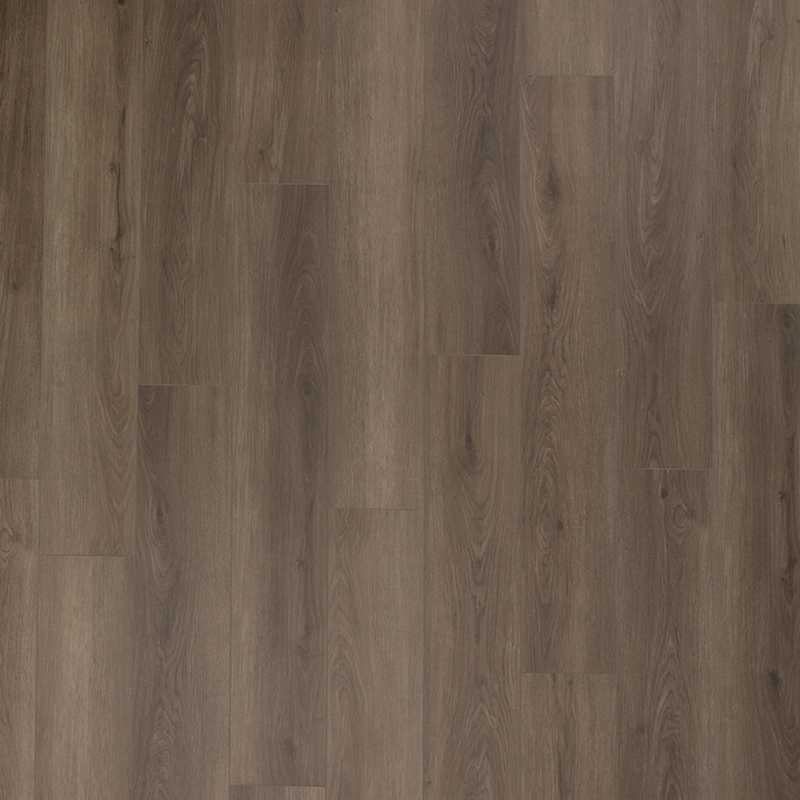 Mohawk Second Home Studio Bark