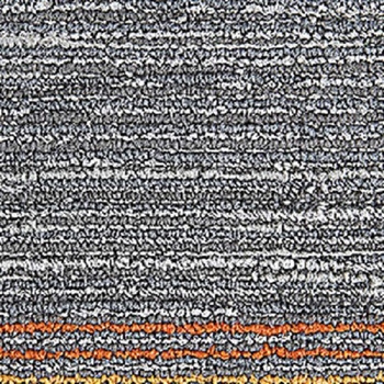Mohawk Seismic Wave Coastal
