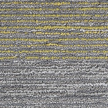 Mohawk Seismic Wave Fossil