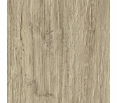 Moma Chalet Honey 12" x 48"