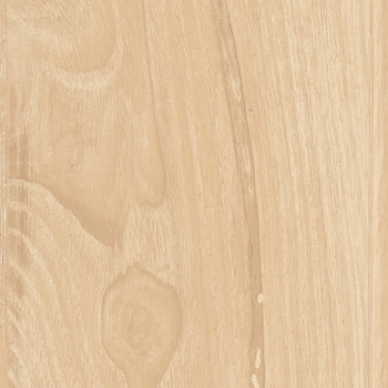 Moma Savage Almond 8" x 48"