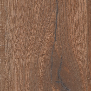 Moma Savage Cognac 8" x 48"