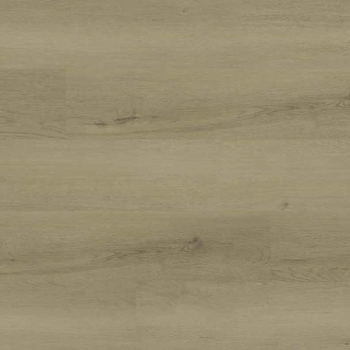 MSI Surfaces Ashton 2.0 Benton Blonde