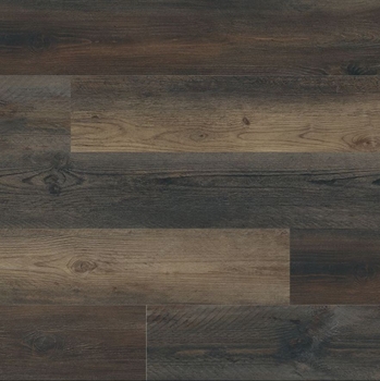 MSI Surfaces Cyrus XL Stable