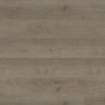 MSI Surfaces Kallum Cranton