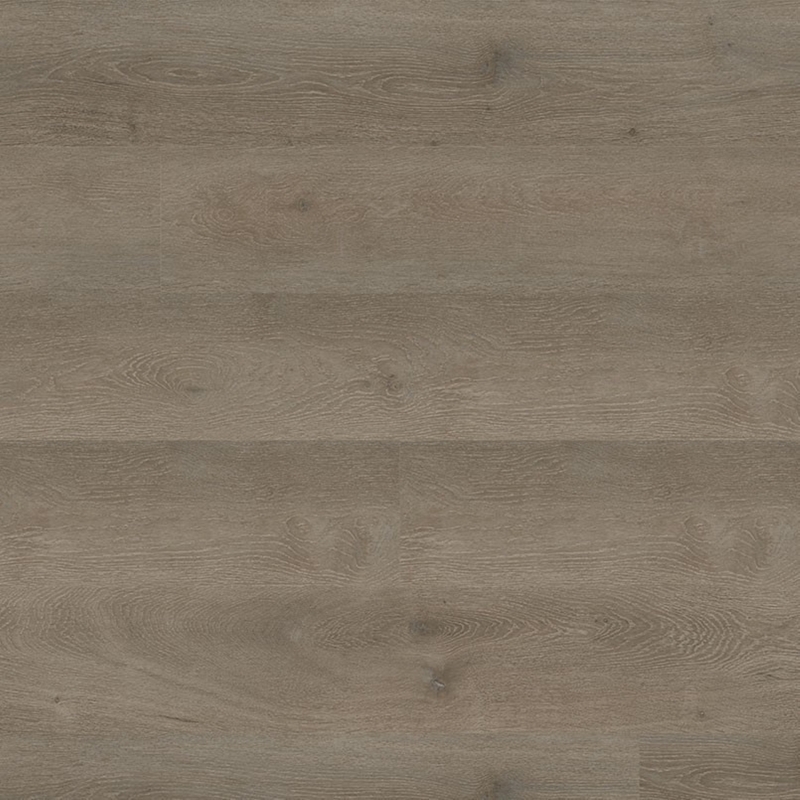 MSI Surfaces Kallum Cranton
