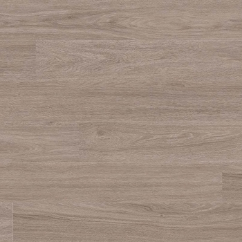 MSI Surfaces  Katavia Bleacched Elme