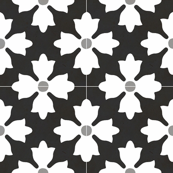 MSI Surfaces Kenzzi Kasbah