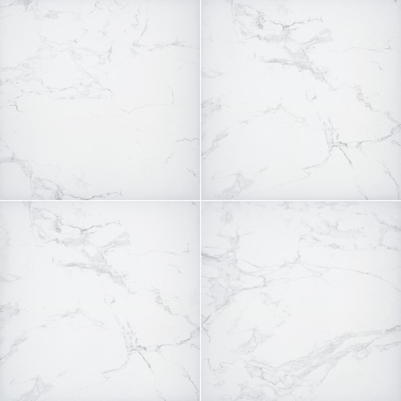 MSI Surfaces Praia Carrara 24 x 48