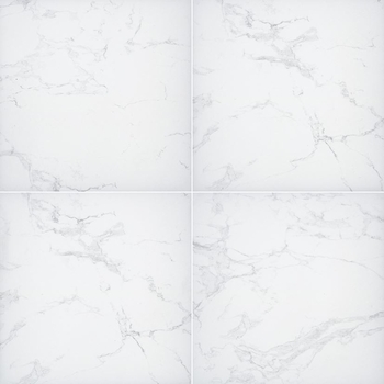 MSI Surfaces Praia Carrara 24 x 48