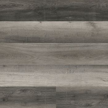 MSI Surfaces Prescott Bracken Hill