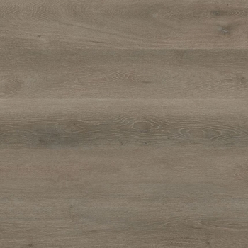 MSI Surfaces Prescott Cranton