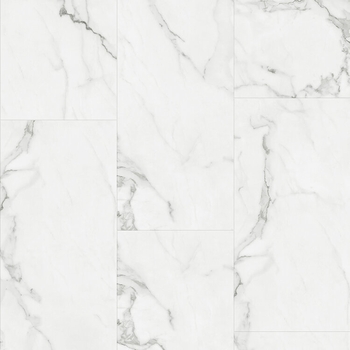 Next Floor Astonishing Calacatta