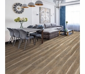 Next Floor Lakeview Urban Oak