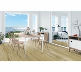 Norwood Hill Casa Del Playa Cascara