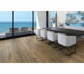 Norwood Hill Casa Del Playa Sol