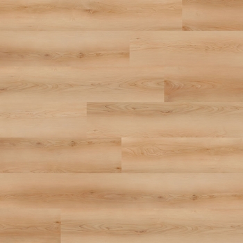 Nova Floor Dansbee Contemporary Maple Malibu