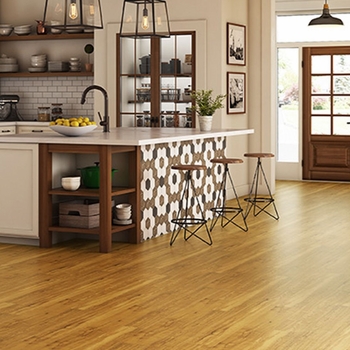Nova Floor Ellis HDC