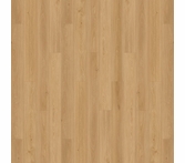 Opulux Aurora