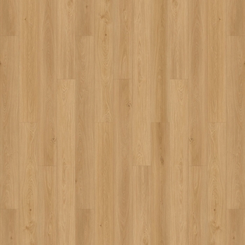 Opulux Aurora