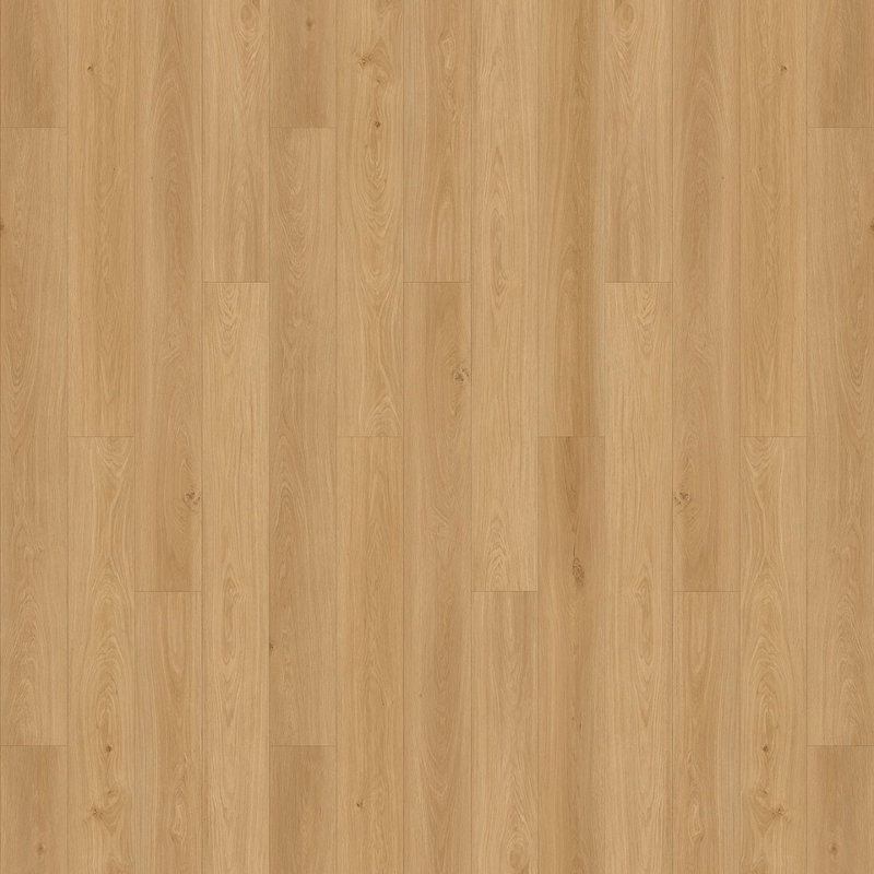 Opulux Aurora