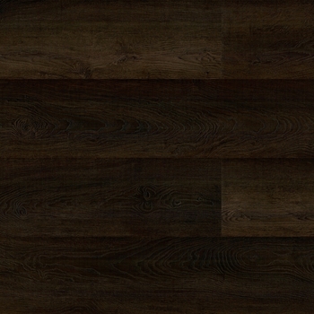 Paradigm Insignia Lanikai