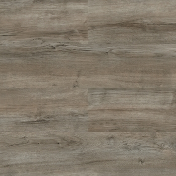 Paradigm Insignia Mineral