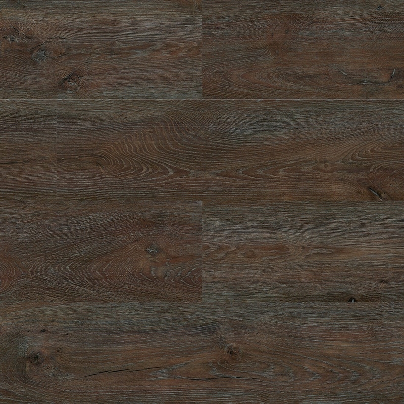 Paradigm Insignia Pedra