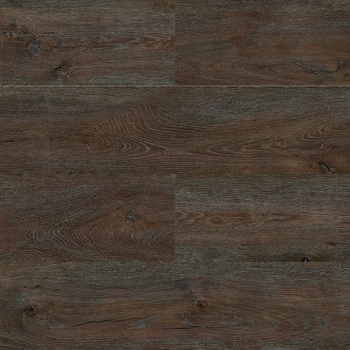 Paradigm Insignia Pedra