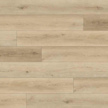 Paradigm Performer 20 Acorn