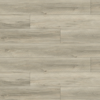 Paradigm Performer 20 Macadamia