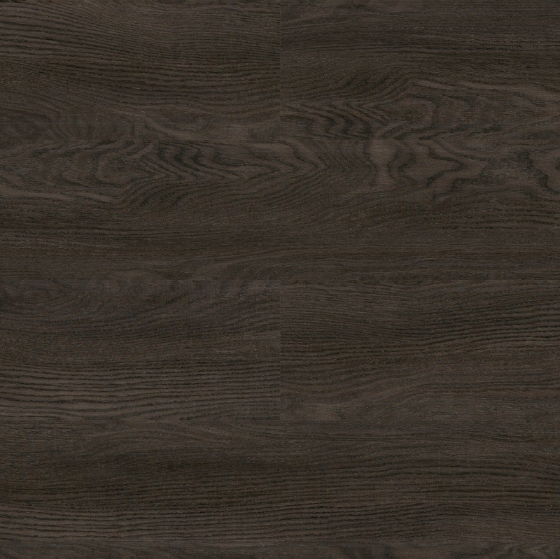 Paradigm Performer Mocha